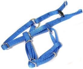 Canac Harness Size 1 10mm Blue